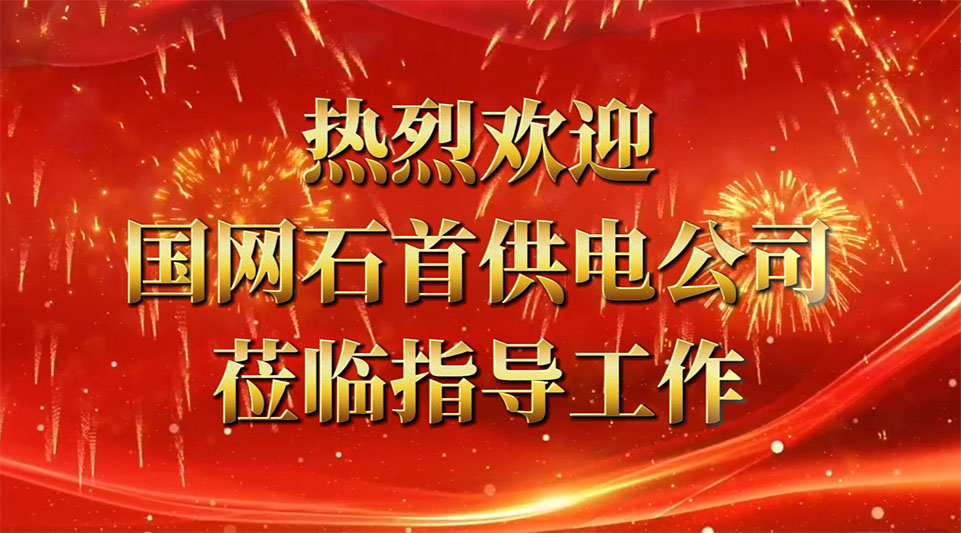 熱烈歡迎國(guó)網(wǎng)石首供電公司領(lǐng)導(dǎo)蒞臨我司考察指導(dǎo)